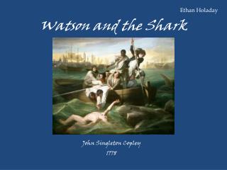 Watson and the Shark