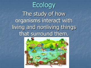 Ecology