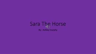 Sara The Horse