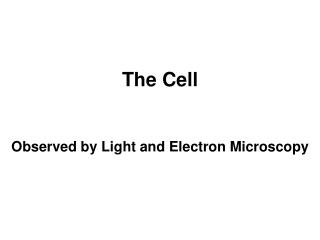 The Cell