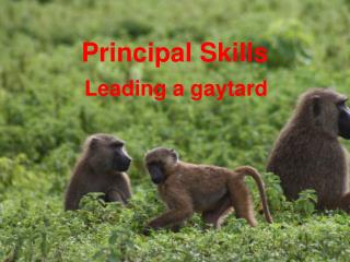 Principal Skills