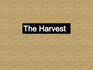 The Harvest