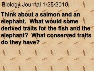 Biology Journal 1/25/2010