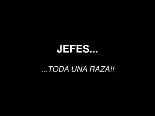 JEFES... ...TODA UNA RAZA!!