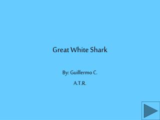 Great White Shark