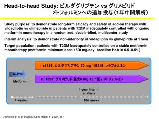 Head-to-head Study: ビルダグリプチン vs グリメピリド メトフォルミンへの追加投与（ 1 年中間解析）