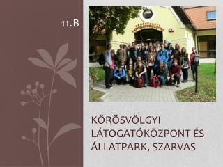 Körösvölgyi Látogatóközpont és állatpark, szarvas