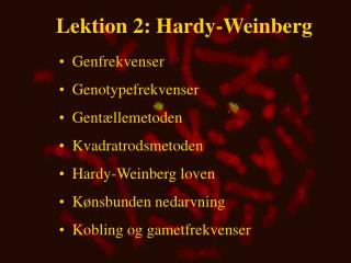 Lektion 2: Hardy-Weinberg