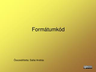 Formátumkód