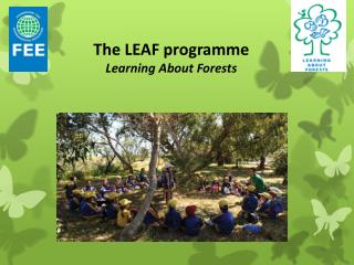 The LEAF programme Learning About Forests