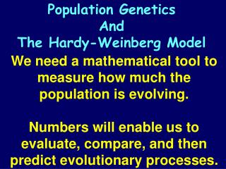 We need a mathematical tool to measure how much the population is evolving.