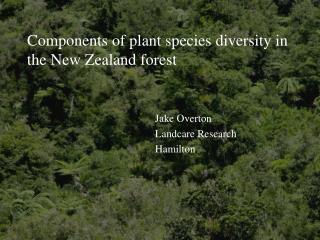 Components of plant species diversity in the New Zealand forest