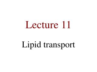 Lecture 11