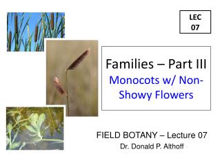 FIELD BOTANY – Lecture 07 Dr. Donald P. Althoff