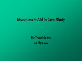 Mutations to Aid in Gene Study