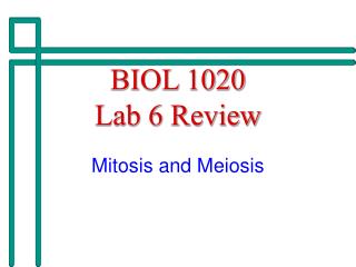 BIOL 1020 Lab 6 Review