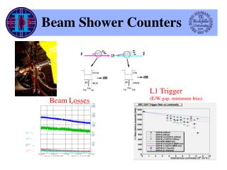 Beam Shower Counters