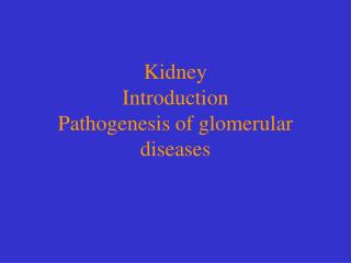 Kidney Introduction Pathogenesis of glomerular diseases