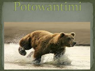 P otowantimi