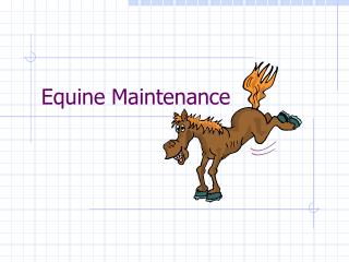 Equine Maintenance