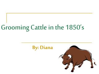 Grooming Cattle in the 1850’s