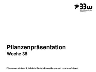 Pflanzenkenntnisse 3. Lehrjahr (Fachrichtung Garten-und Landschaftsbau)