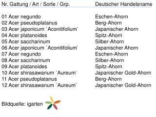 Nr. Gattung / Art / Sorte / Grp . 		Deutscher Handelsname 01 Acer negundo Eschen-Ahorn