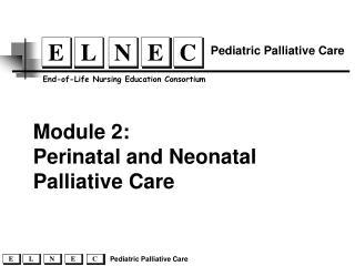 Perinatal and Neonatal Palliative Care