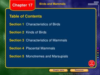 Birds and Mammals