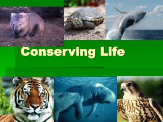 Conserving Life