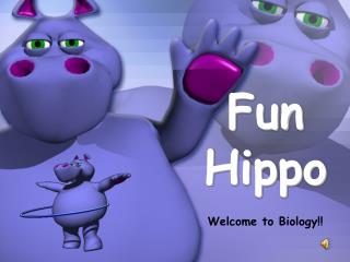 Fun Hippo