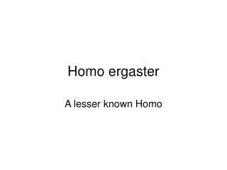 Homo ergaster