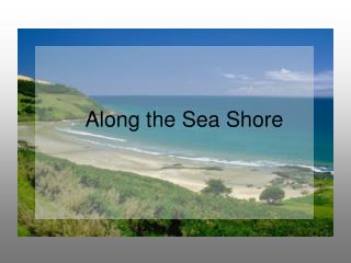 Along the Sea Shore