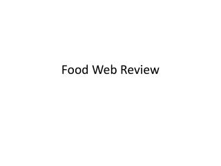 Food Web Review