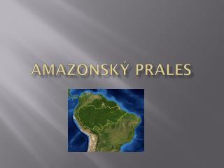 AMAZONSKÝ PRALES