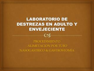 LABORATORIO DE DESTREZAS EN ADULTO Y ENVEJECIENTE