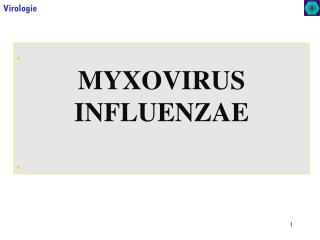 . MYXOVIRUS INFLUENZAE .