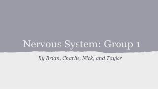 Nervous System: Group 1
