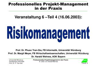 Professionelles Projekt-Management in der Praxis