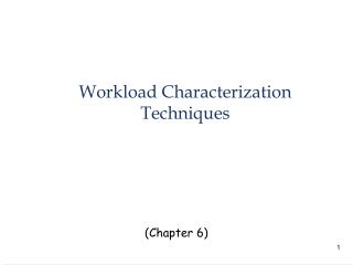 Workload Characterization Techniques
