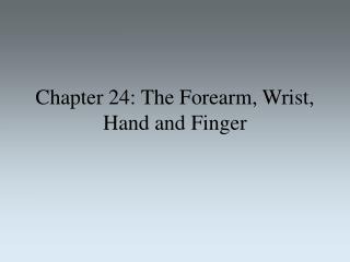 Chapter 24: The Forearm, Wrist, Hand and Finger