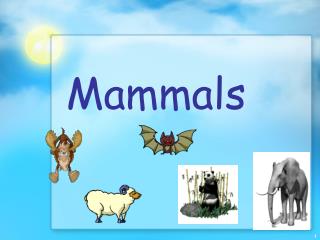 Mammals