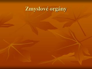 Zmyslové orgány