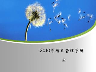 2010 年项目管理手册