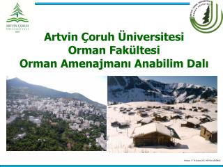 Artvin Çoruh Üniversitesi Orman Fakültesi Orman Amenajmanı Anabilim Dalı