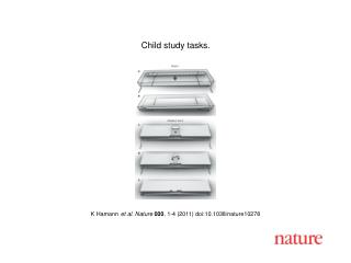 K Hamann et al. Nature 000 , 1-4 (2011) doi:10.1038/nature10278