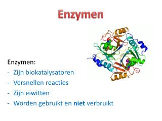 Enzymen : Zijn biokatalysatoren Versnellen reacties Zijn eiwitten