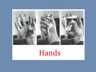 Hands