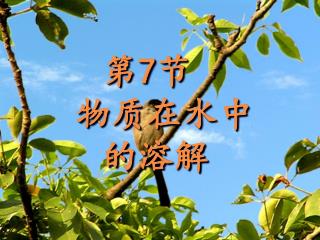 第 7 节 物质在水中 的溶解