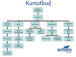 Kursutbud